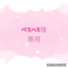 ぺろへろ様 リクエスト 2点 まとめ商品