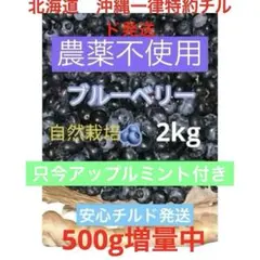 農家直送＝朝採りフレッシュブルーベリー2kgチルド発送のサムネイル