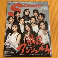 S Cawaii! 2001年2月号 ギャル雑誌 S-GALスタイル 安室奈美恵 - メルカリ