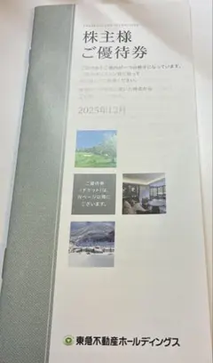 東急不動産ホールディングス　株主優待券