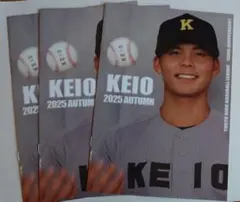 立教大学 1989 六大学野球 秋季リーグ優勝記念 ベースボールキャップ 当時物 立教大学 1989 六大学野球 秋季リーグ優勝記念 ベースボール