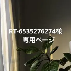 RT-6535276274様　専用ページ