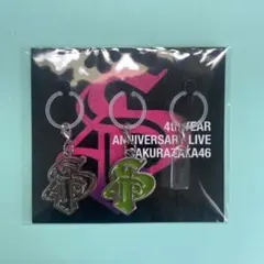 櫻坂46 山﨑天 福袋 缶バッジ キーホルダー まとめ売り 櫻坂46 2025 福袋 缶バッジ 大 山﨑天 - メルカリ