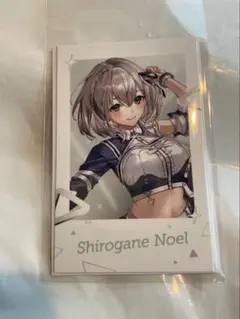 レオン様 リクエスト 2点 まとめ商品