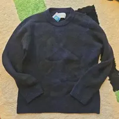 Item thumbnail for item 1c117e0a-67f3-48aa-b758-16ccc8b44ad2