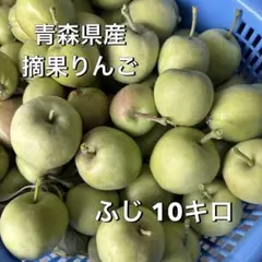 青森県産 摘果りんご ふじ 10キロのサムネイル