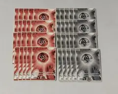 ホロカ　エールセット