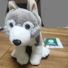 2025年最新】エンデンジャードアニマルズの人気アイテム - メルカリ