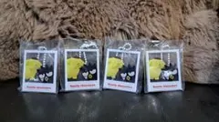 はいっ！ポーズ！キーホルダー ポムポムプリン ばつ丸 4個