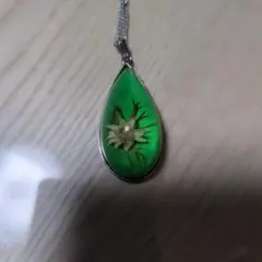 Item thumbnail for item b6a5a0cc-b133-4ca8-9dfa-4823e4724e02