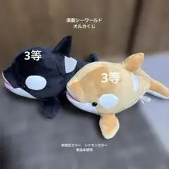 須磨シーワールド　オルカくじ　シャチ　ぬいぐるみ 秋限定カラー　シナモン　3等