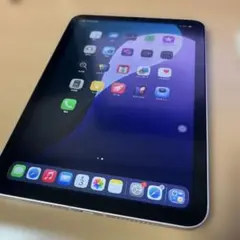 iPad mini 6 セルラー256GB 本体【美品ジャンク】