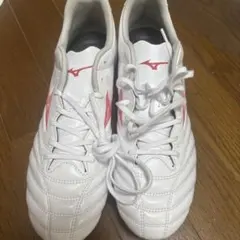 モナルシーダネオ3セレクト