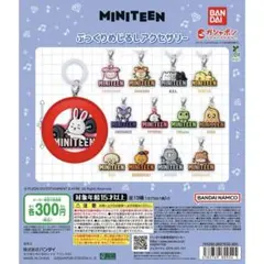 MINITEEN ぷっくりめじるしアクセサリー CHOITCHERRY