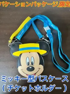 東京ディズニーリゾート バケーションパッケージ ミッキー パスケース