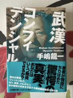 武漢コンフィデンシャル