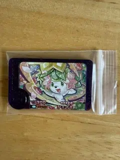 ポケモンフレンダ ベストタッグ2弾　レア枠　シェイミ