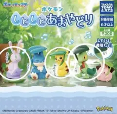 ポケモン　しとしとあまやどり　ピカチュウ　キモリ　ヌメイル