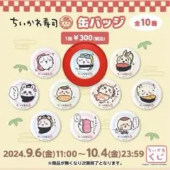ちいかわ寿司 ガチャ 缶バッジ ハチワレ