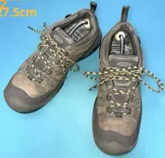 Item thumbnail for item 22ad70a4-af4c-4268-ac8d-9666bc701299