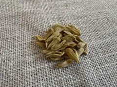 こっちゃび様 リクエスト 2点 まとめ商品