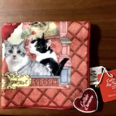 afternoon tea × Cat's Nap Time プリントミニタオル