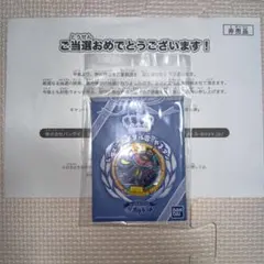最終値下げ早いもん勝ち新品未開封レジェンドメダルブシニャンsメダル