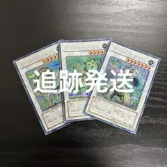 2026年最新】ナチュルパルキオン シークレットの人気アイテム - メルカリ