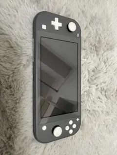 Nintendo Switch Lite グレー、カセット2種類