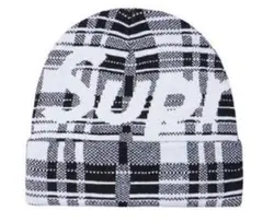 Supreme Big Logo Beanie 