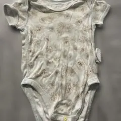 Item thumbnail for item 2cc51789-a654-463e-85a5-98d519ec7f7f