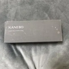 KANEBO CLARIFYING POWDER WASH 49g 32個入り