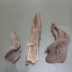 流木 3点セット 茶色 工作素材
