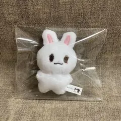 2025年最新】チャウヌぬいぐるみの人気アイテム - メルカリ