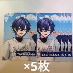 たちばなブロマイド 5枚セット