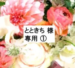 とときち 様 専用①　2020年 最新版ミッキーパッケージ＋Q DWE ディズニ