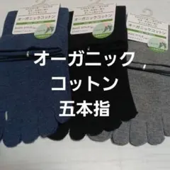 ３足組♪オーガニックコットン　 五本指ソックス(23～25)
