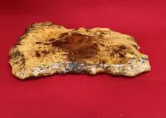 ○小振りな大きさ 天然木 花梨 瘤杢 輪切花台 盆栽台 敷台 飾台 飾台