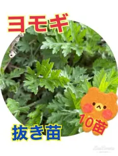 いため具　引越し作業中につき公開中止中様 リクエスト 2点 まとめ商品