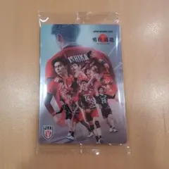 sheeba様 リクエスト 2点 まとめ商品