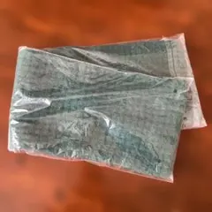 Item thumbnail for item 0aa10f38-e0a8-4a57-b613-ffa223bb35dd