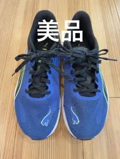 Item thumbnail for item 155df4a4-84b2-46cb-b65e-f47bc9ba36f0