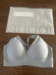 Item thumbnail for item bd396358-35eb-4b46-9789-815b8d5e9955