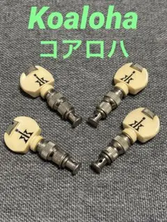 Item thumbnail for item fd97e2df-1aa1-407b-968c-404252de49a8