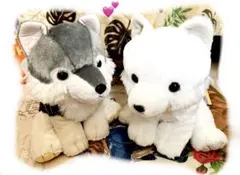 もふっとオオカミ　ミステリアス　ハンター＆レイラ♡２点