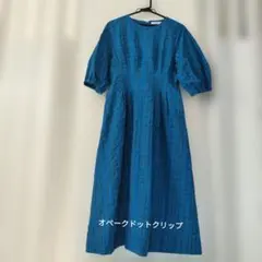 今日だけバーゲン！オペークドットクリップ.青 チェック柄 半袖 ワンピース