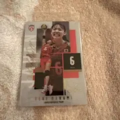 バレーボール　女子日本代表　ツインウエハース　関菜々巳