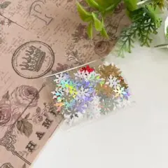 【2088】グリッター 雪の結晶 300円
