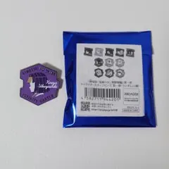 鬼滅の刃 産屋敷輝利哉 無限城編第一章 キャラクターモチーフピンズ