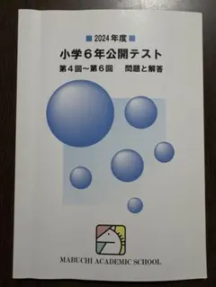 2026年最新】馬渕公開テストの人気アイテム - メルカリ